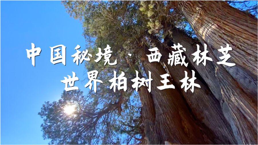 脑洞小老弟无实名认证